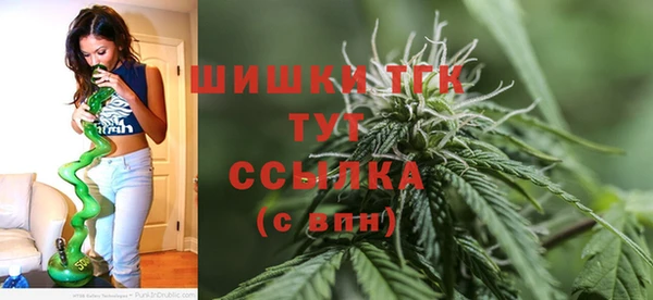 экстази Богородицк